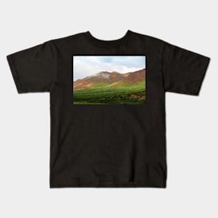 Sable Pass, Denali National Park Kids T-Shirt